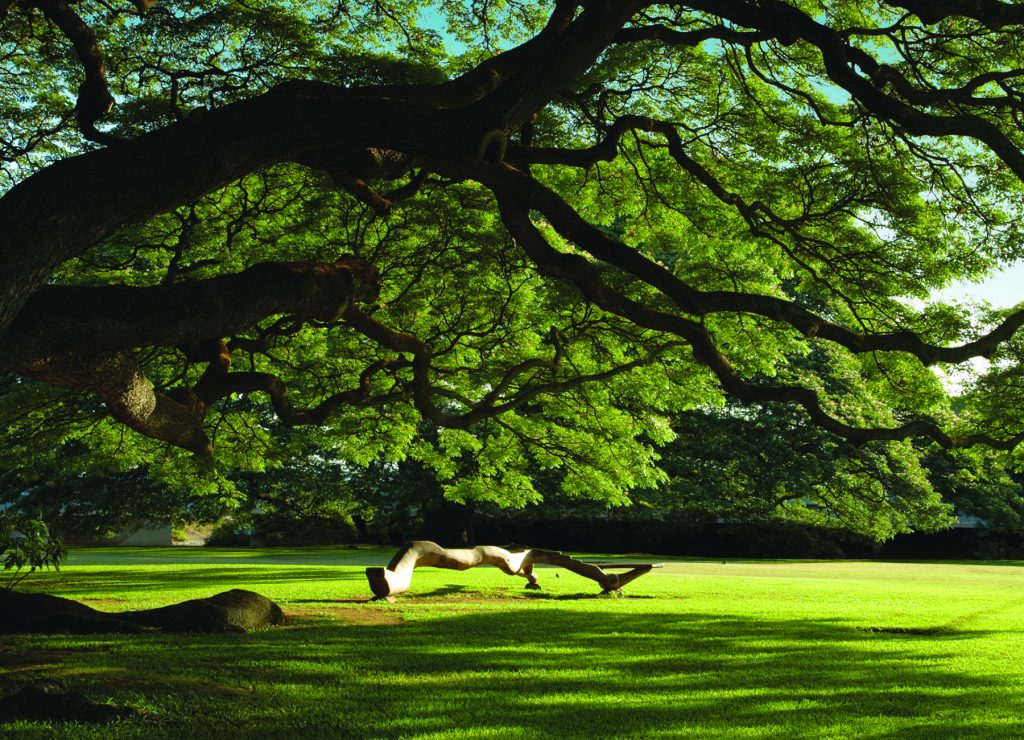 Moanalua gardens